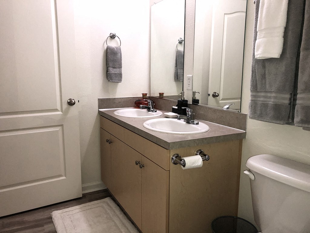 Falcon Ridge master bathroom