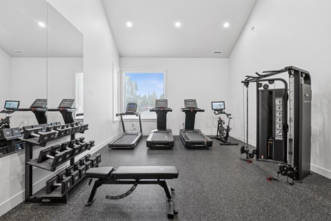 A gym with treadmills, exercise bikes, and a weight machine.