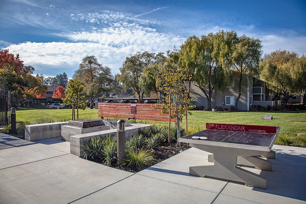 The Alexandar Outdoor Ping Pong Table