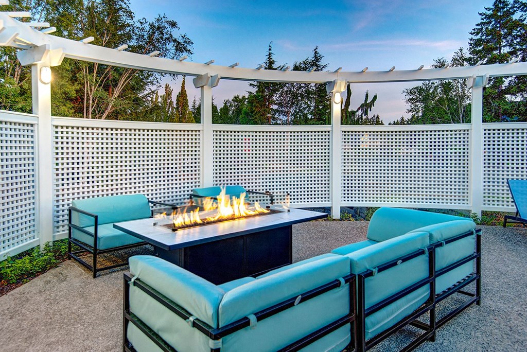 The Reserve at Bucklin Hill Apartments firepit