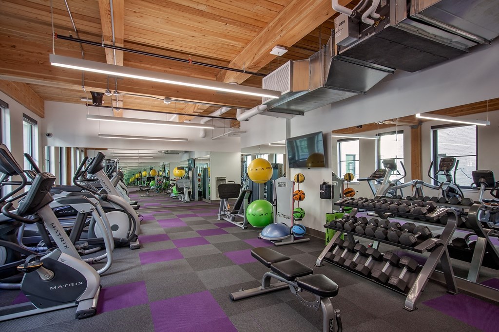 38 Davis  fitness center with weights and treadmill