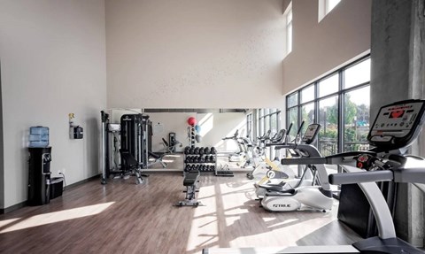 A gym with a variety of equipment including treadmills, weights, and exercise machines.