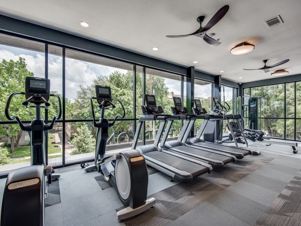 a row of treadmills and elliptical trainers in a fitness room with floor to ceiling