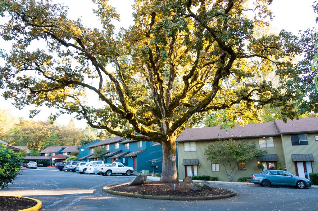 a large tree in the middle of a parking lot in front of a building
