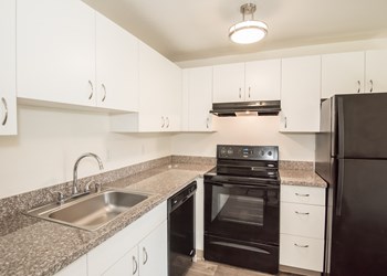 Fox Pointe Apartments One Bedroom Kitchen - Photo Gallery 25