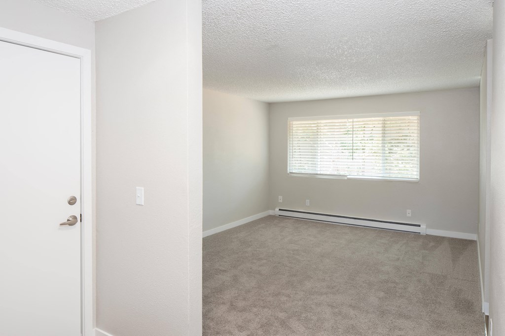 a bedroom with a carpeted floor and a large window