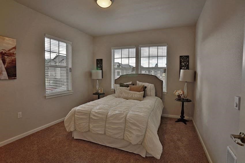 a bedroom with a large bed and two windows