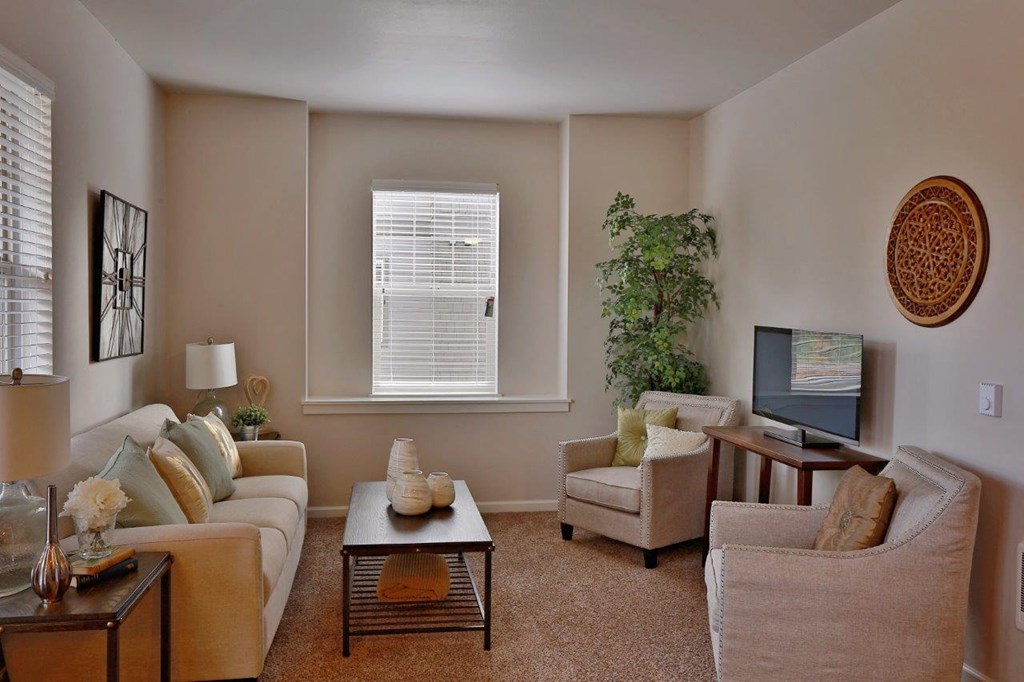 a living room with couches and chairs and a television