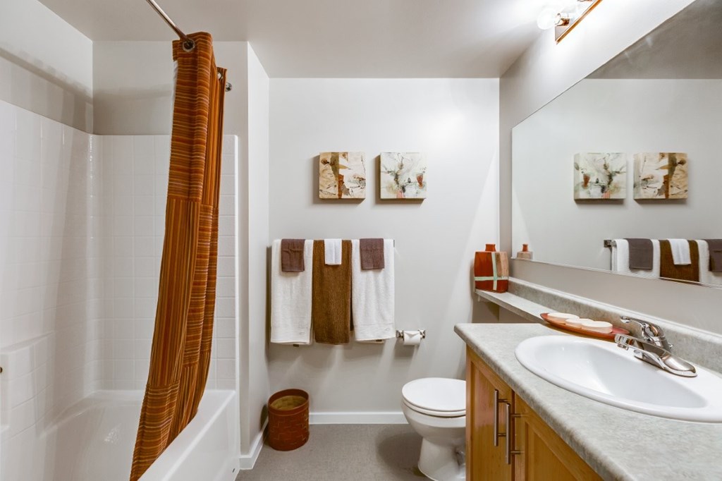 A bathroom with a toilet, sink, and shower.