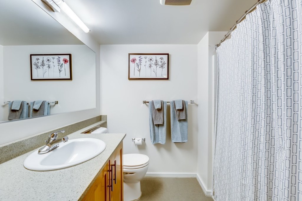A bathroom with a sink, toilet, and shower curtain.