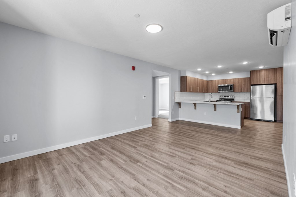 District 208 Living Area and Kitchen