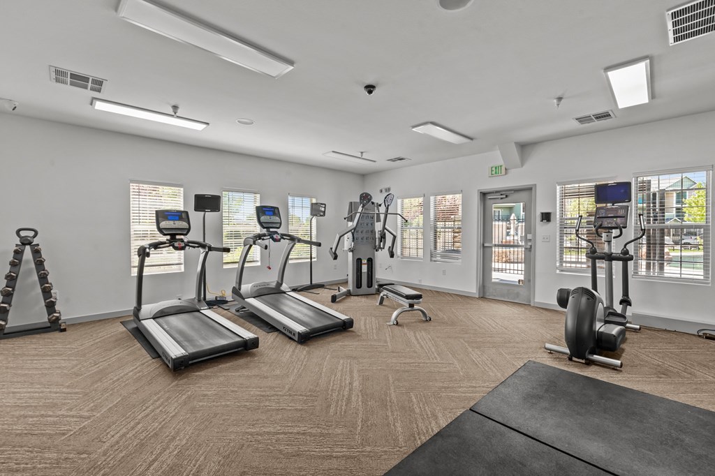 a gym with cardio equipment and windows at the preserve at greatstone