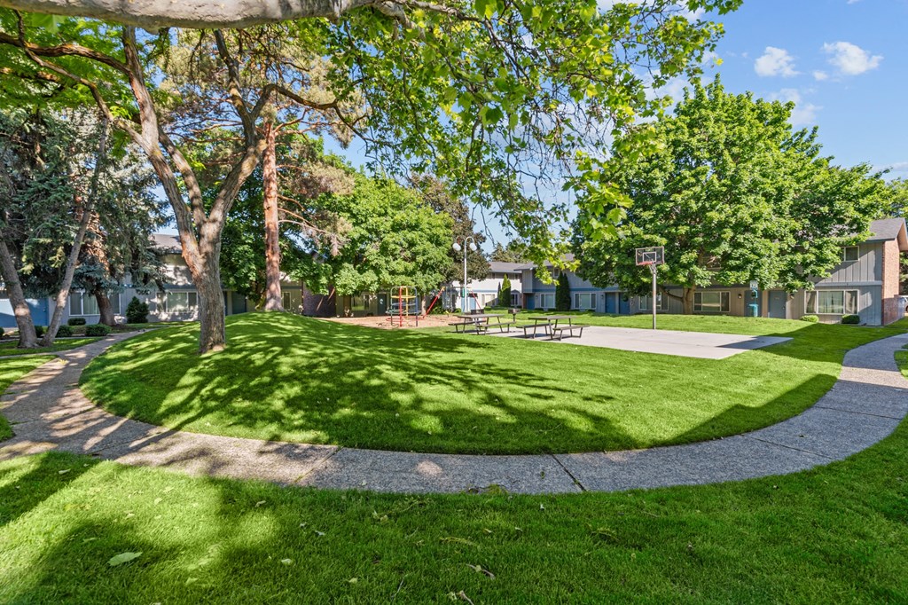 Curtis Apartments  green grass and trees and a sidewalk