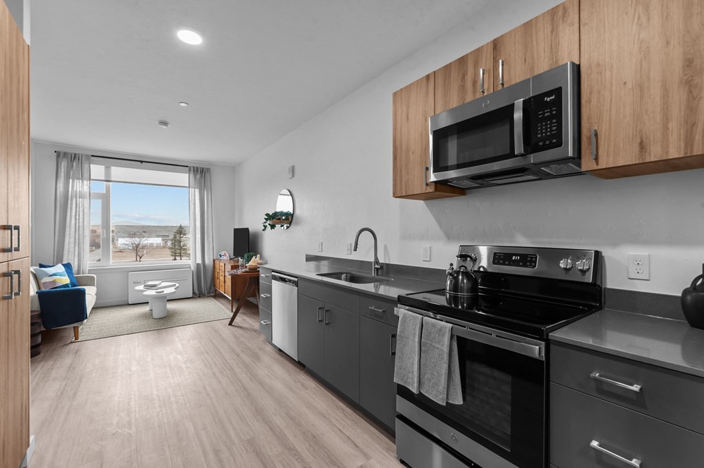 an apartment kitchen with stainless steel appliances and a view of the ocean