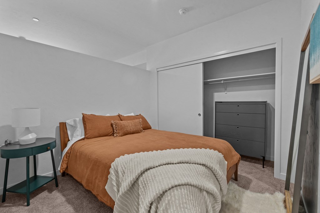 a bedroom with a bed and a closet