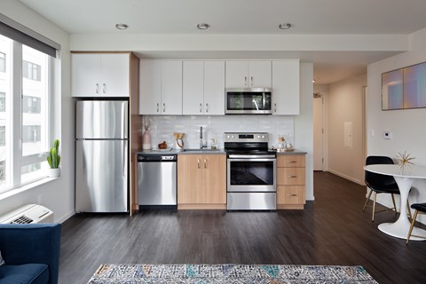 Grant Park Village kitchen showing cabinets and appliances