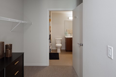 Grant Park village shot of closet leading to bathroom