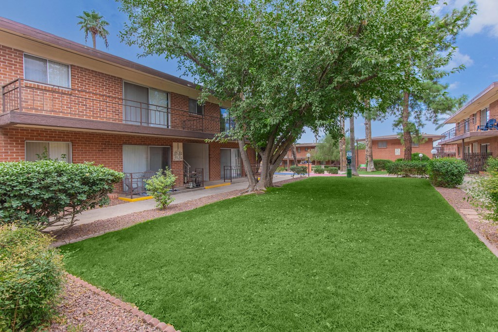 A tree in a grassy courtyard in front of apartment buildings.