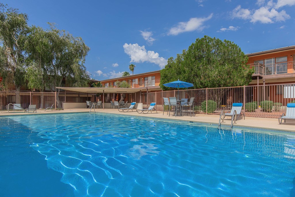 A large swimming pool with sun loungers and trees in the background.