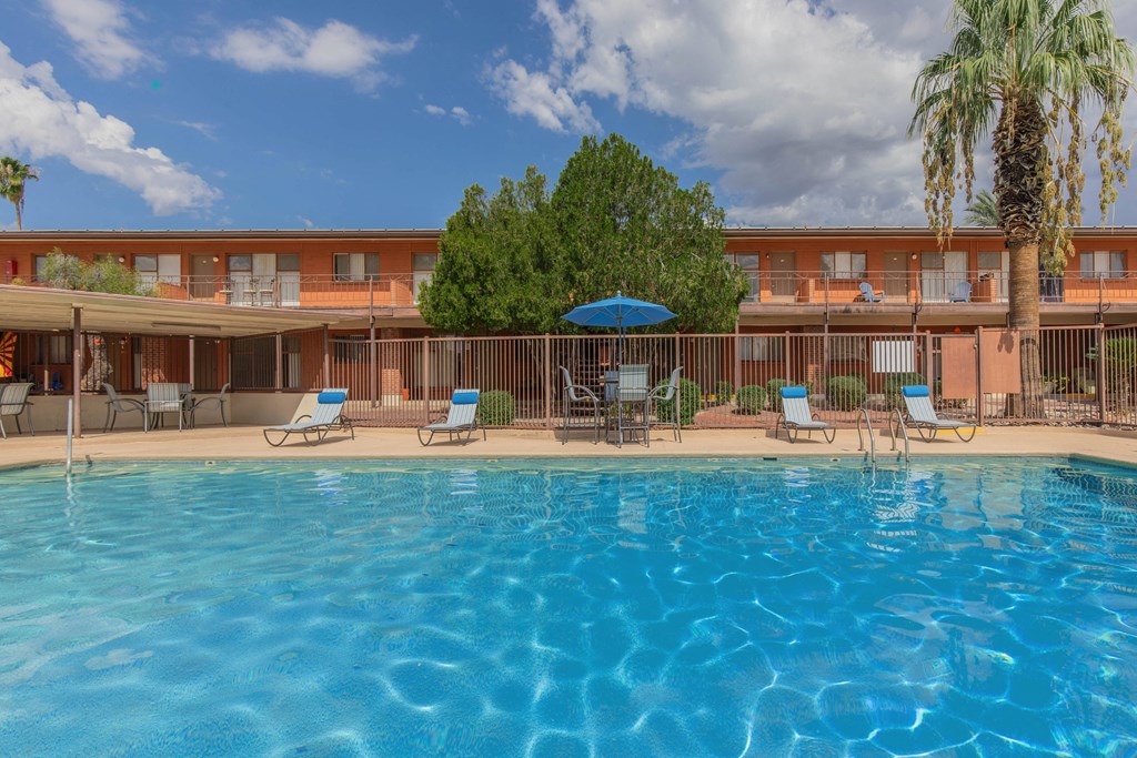 A large swimming pool in front of a building with a palm tree.