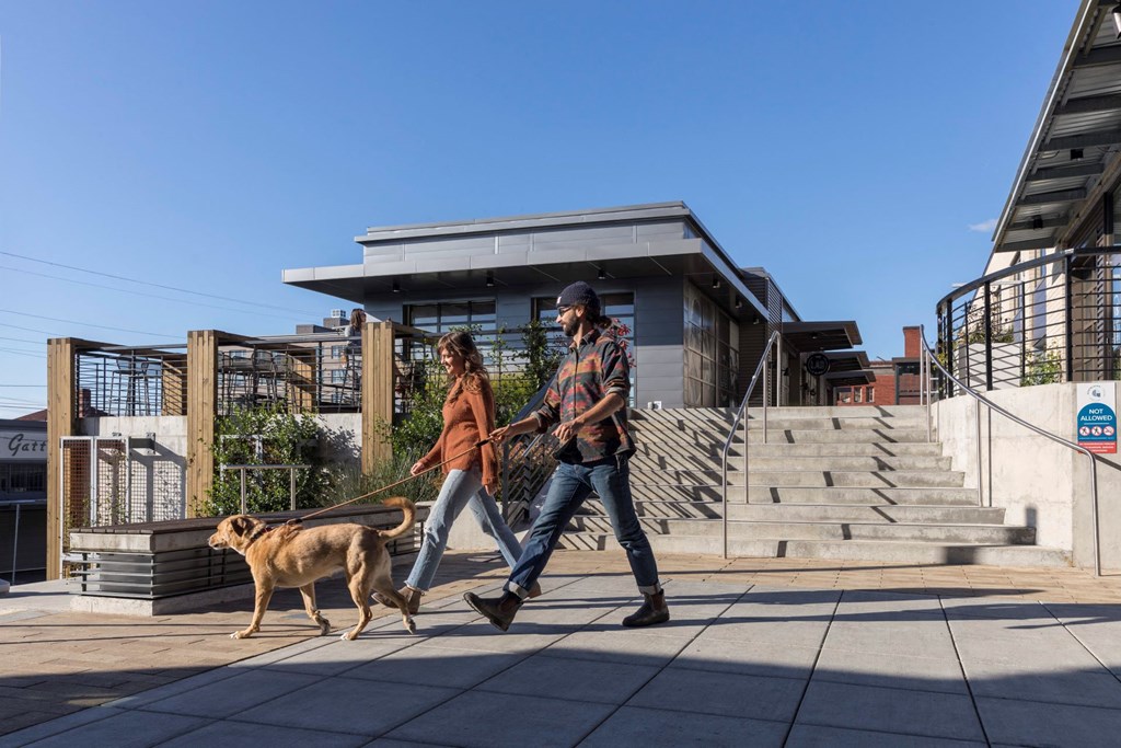 Goat Blocks in Portland, Oregon Lifestyle