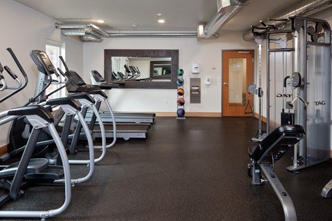 Goat Blocks in Portland, Oregon Fitness Center