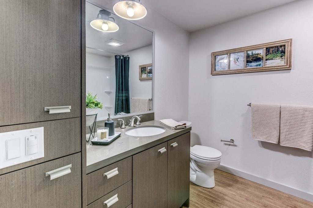 Goat Blocks in Portland, Oregon Model Bathroom