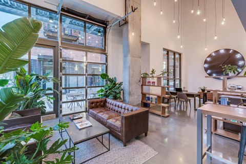 a living room filled with furniture and plants
