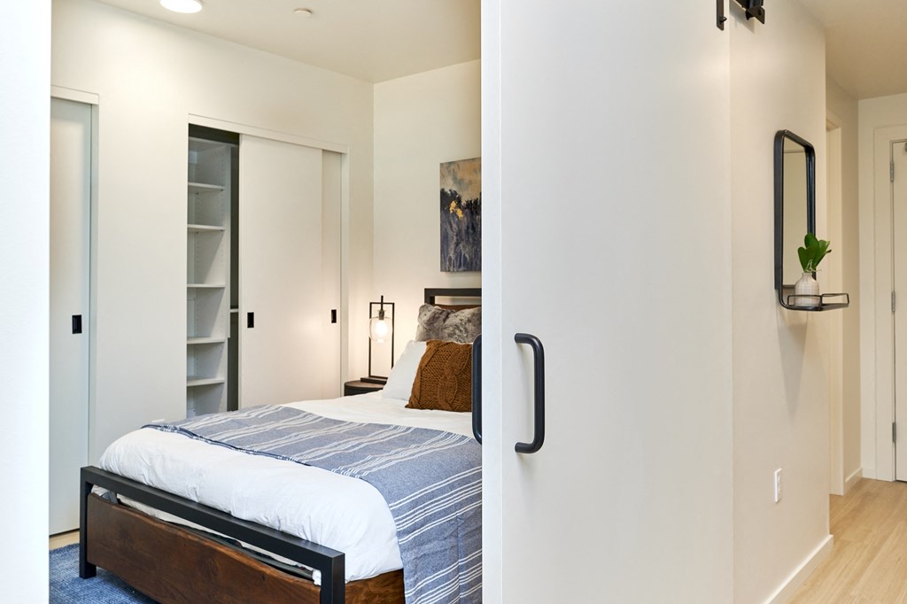 a bedroom with a bed and a closet