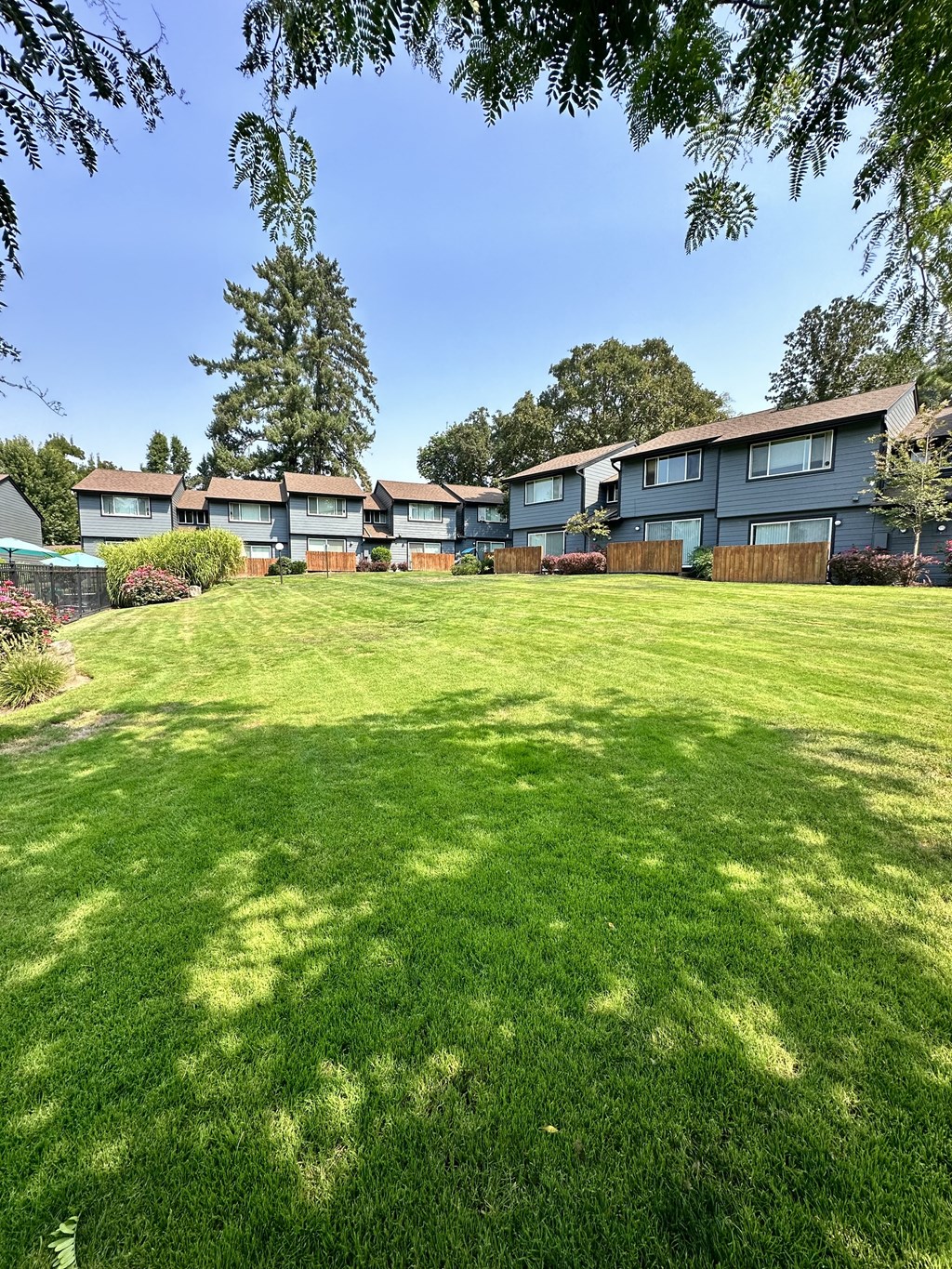 a large yard in front of a row of houses