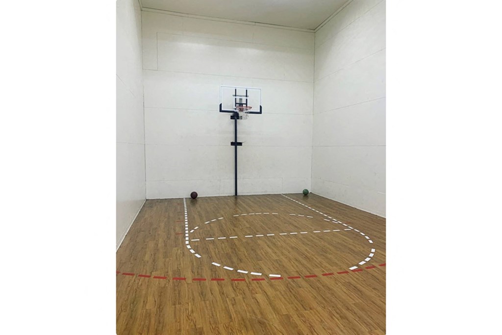 A basketball court with a hoop and a ball on the floor.