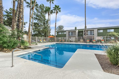 A swimming pool surrounded by palm trees and a fence.