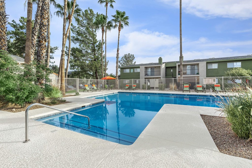 A swimming pool surrounded by palm trees and a fence.