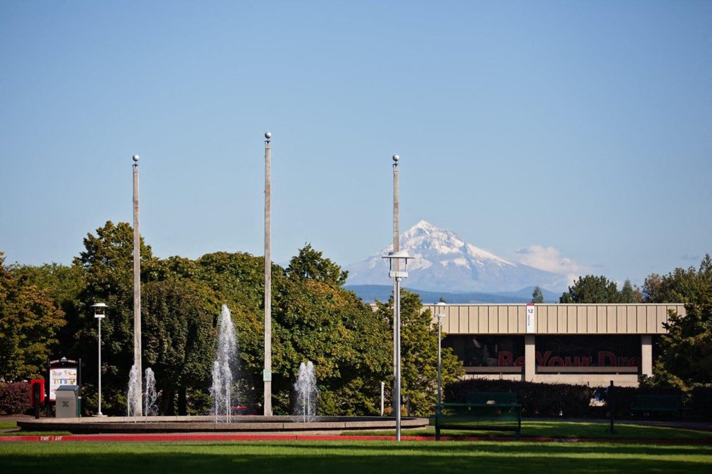 Springwater Crossing exterior flag pole