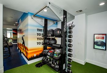 A gym with a wall mural that says "The way to go" and a rack of dumbbells.
