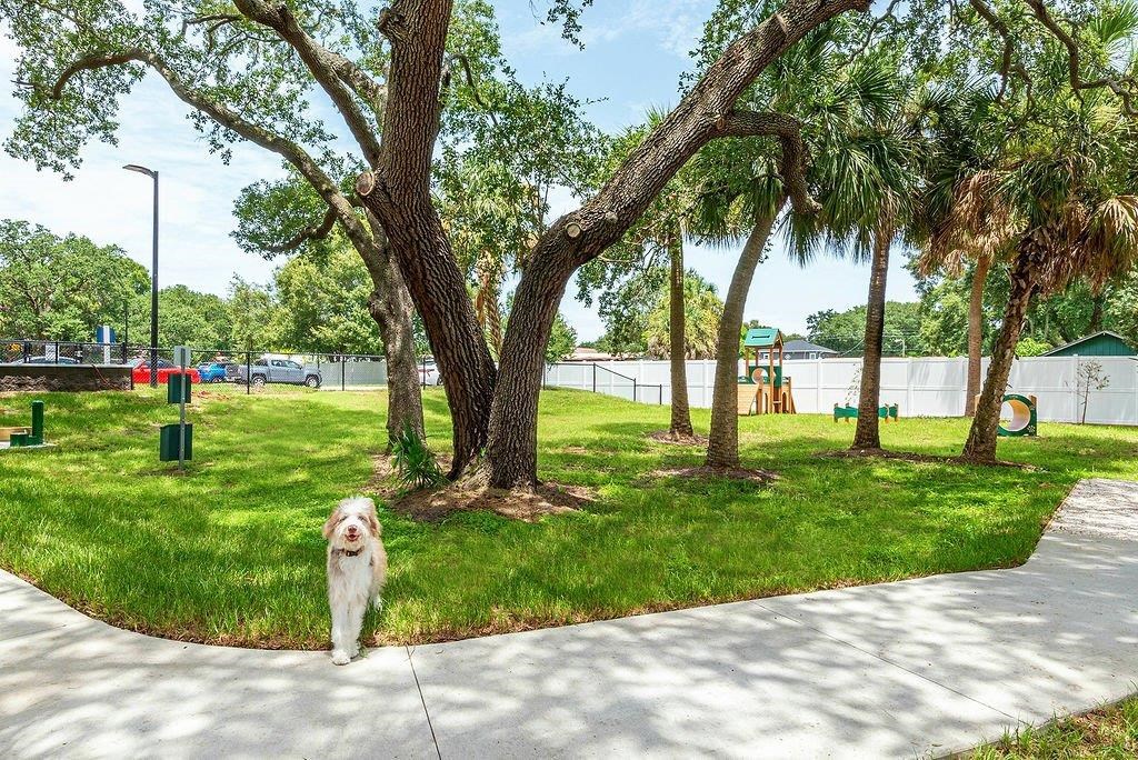 a dog walking on a sidewalk near a park