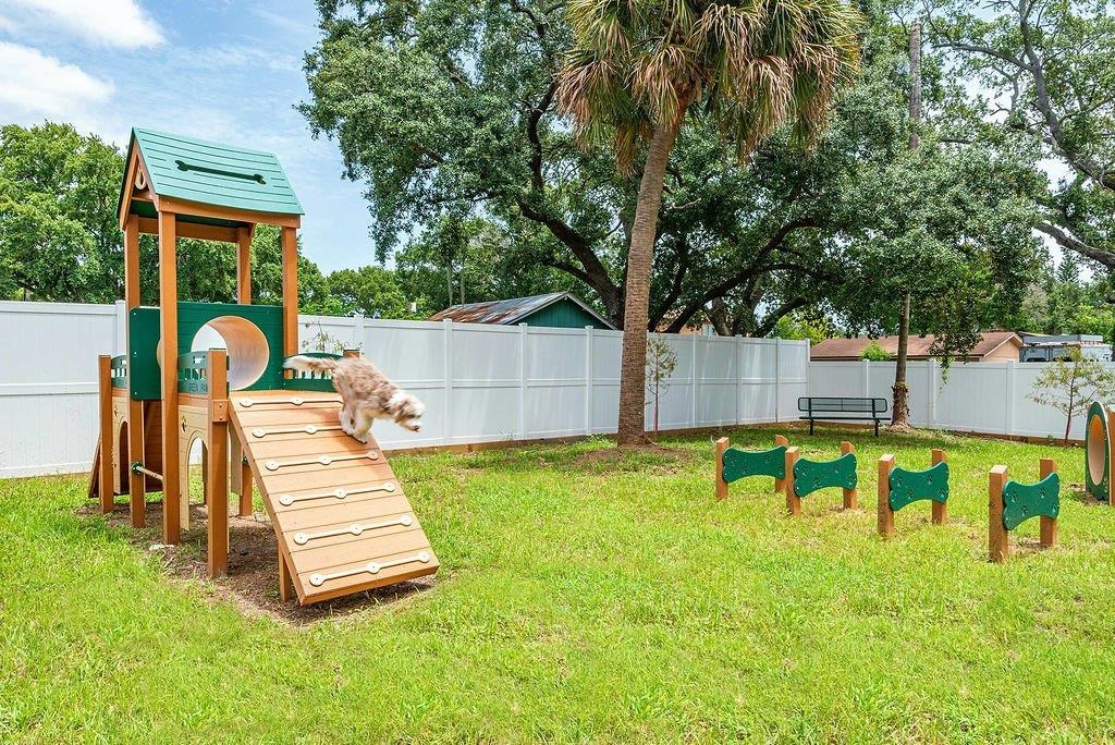 a cat playing on a wooden ramp in a backyard