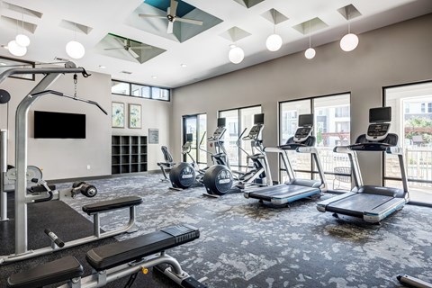 A spacious gym with a variety of equipment including treadmills, weights, and a television.