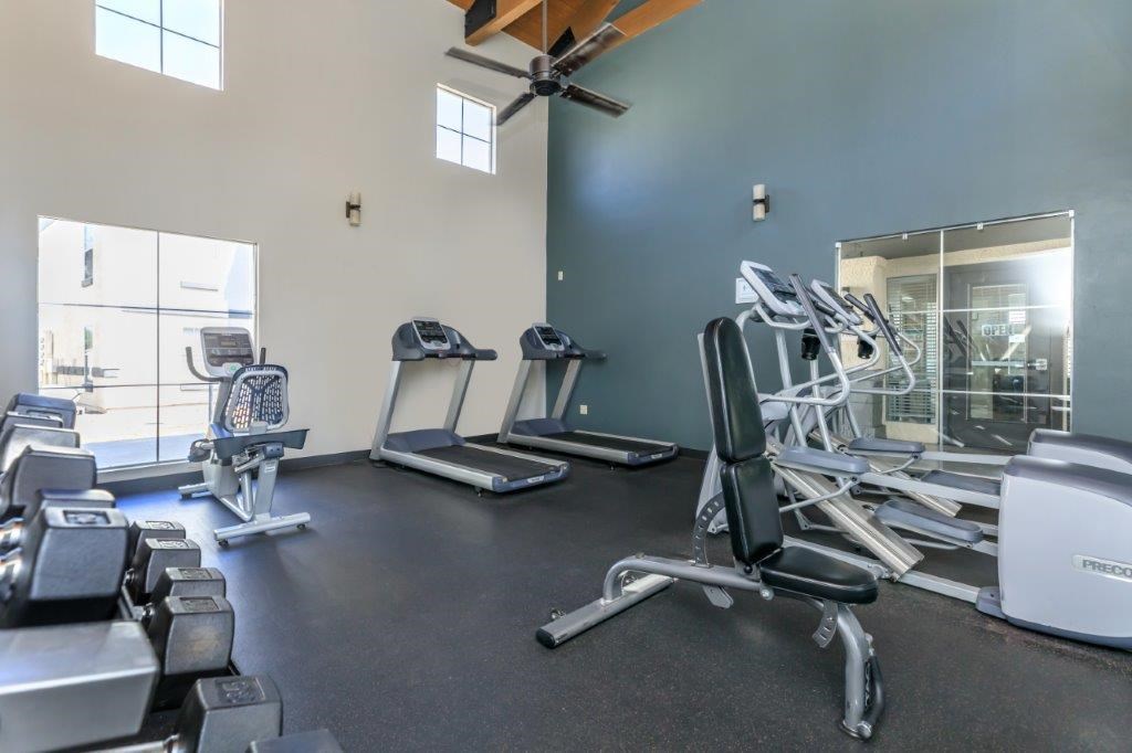 A gym with a variety of equipment including treadmills, weights, and a fan.