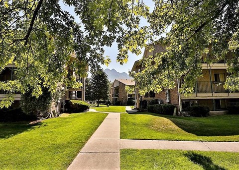 a sidewalk in the middle of a neighborhood with trees