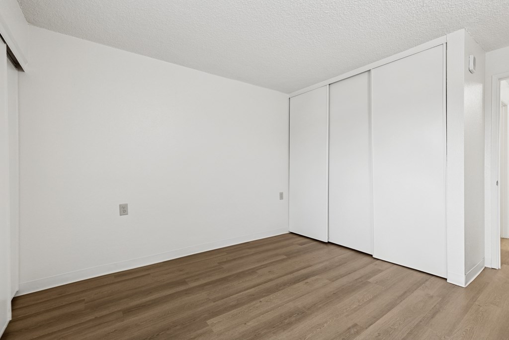 A room with white walls and wooden flooring with a white closet.