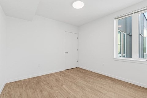 A room with a wooden floor and a window with a white frame.
