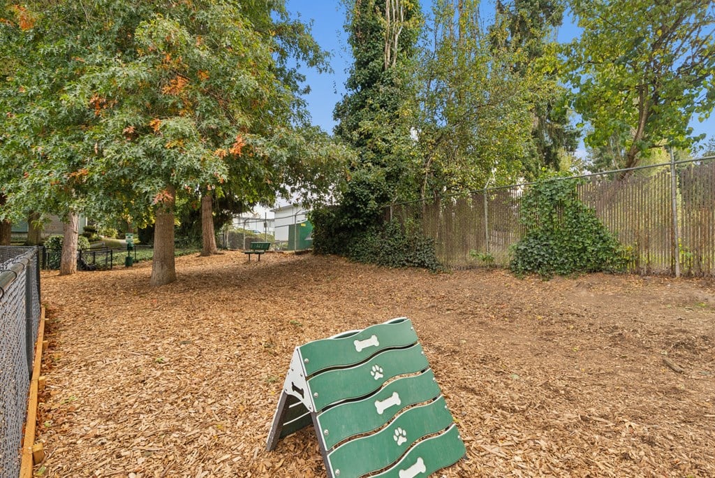 A green lawn chair sits on a dirt ground with trees in the background.