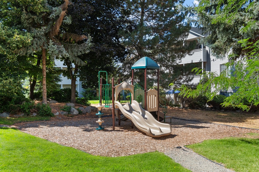 a playground with slides and a fire hydrant in a yard