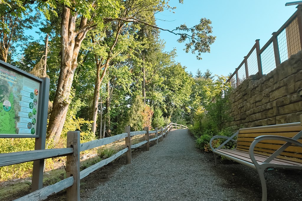 A gravel pathway with a bench and a wooden fence.