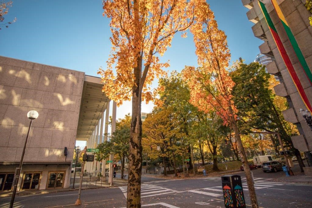 a city street with trees in front of a building