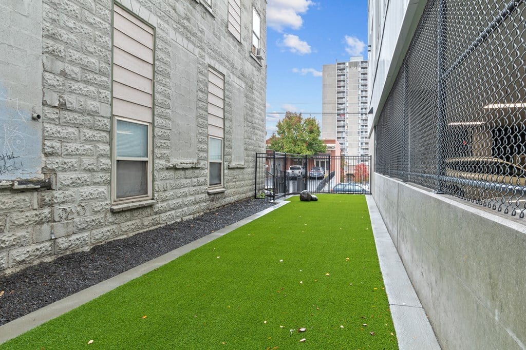The Warren Apartments Outdoor Pet Lawn