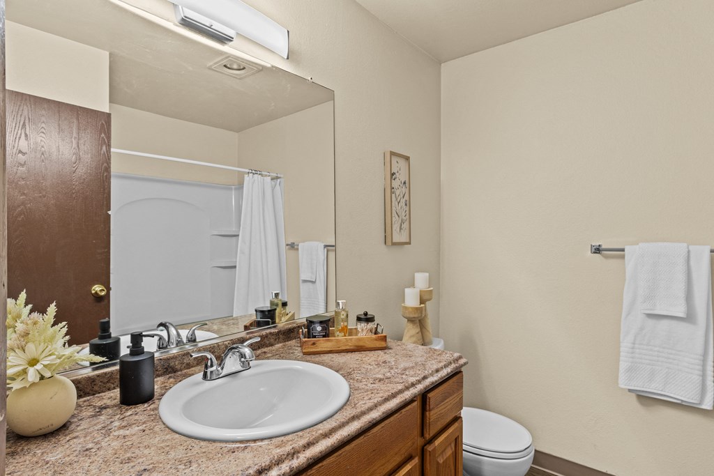 a bathroom with a sink and a mirror and a toilet