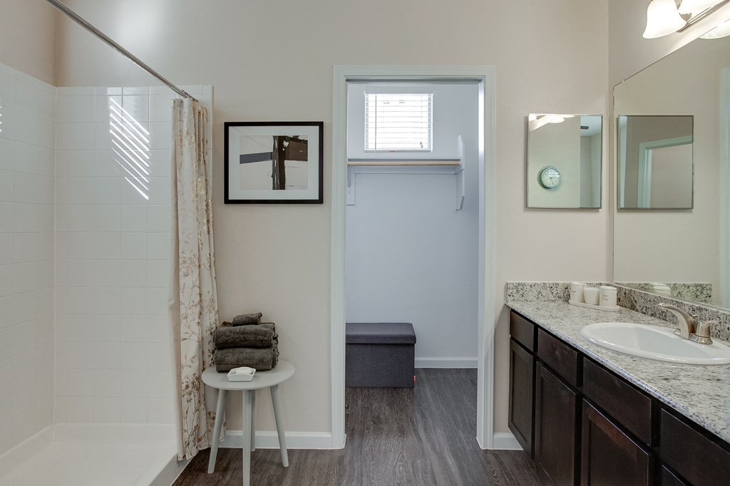 Horizon at Premier Apartments Bathroom Sink Vanity and Large Closet.