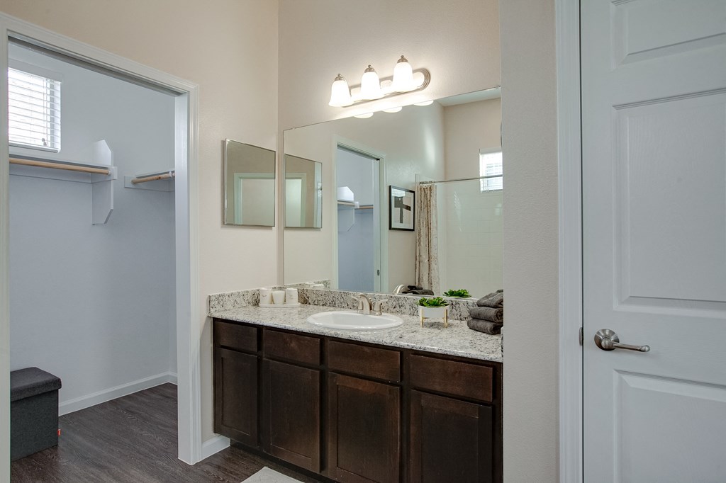Horizon at Premier Apartments Bathroom Sink Vanity and Large Closet.